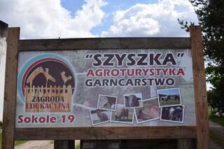Фермерские дома Agroturystyka SZYSZKA Polnica Двухместный номер с 1 кроватью и балконом-1